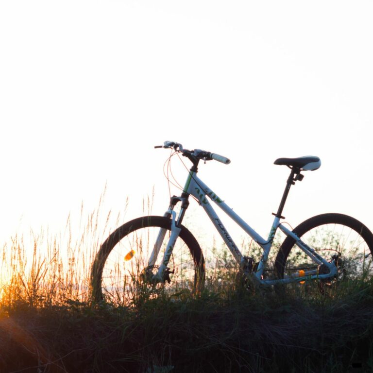 foto bicicletta
