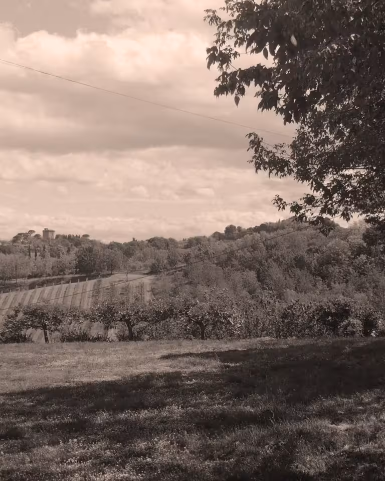 torre di oriolo